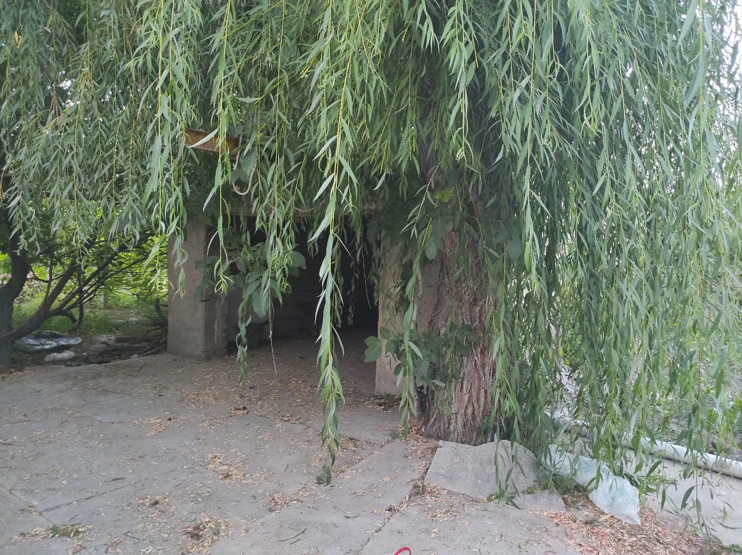 زمین دادگستری گلمانخانه