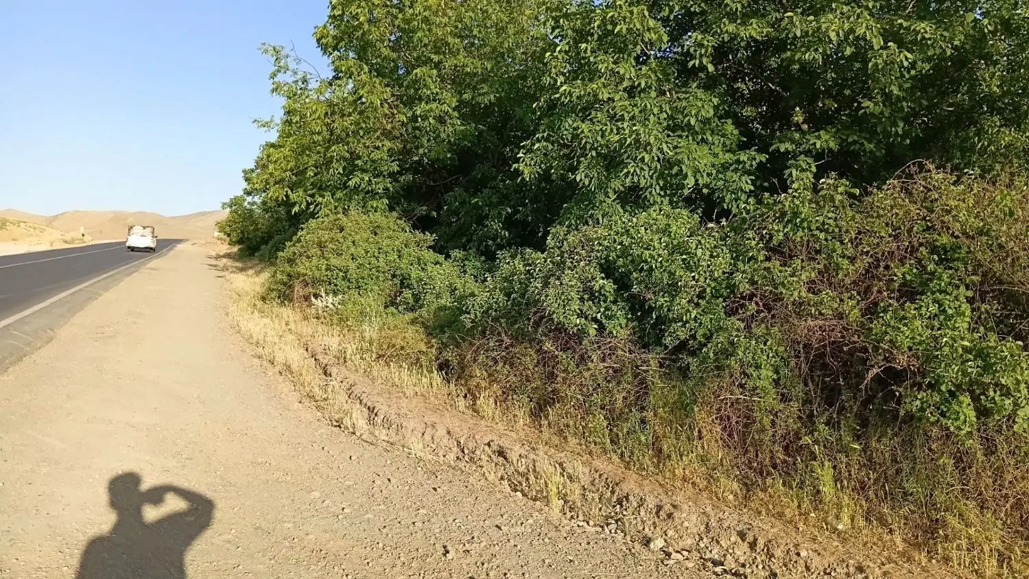 باغ فروشی کنگاور روستای آران متراژ ۱_۷۵۰متر
