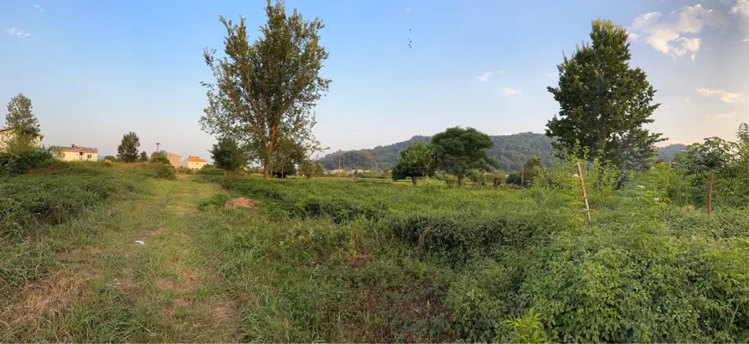 ۳۱۰متر زمیدان