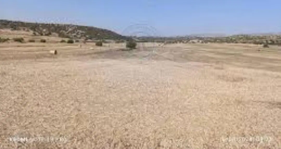 زمین فروشی