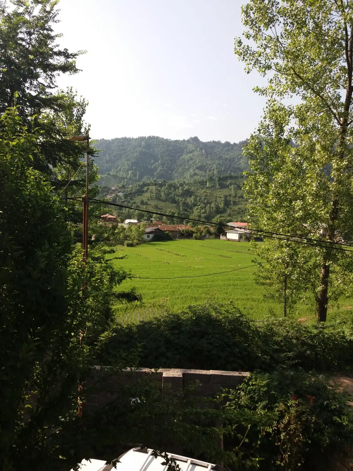زمین مسکونی