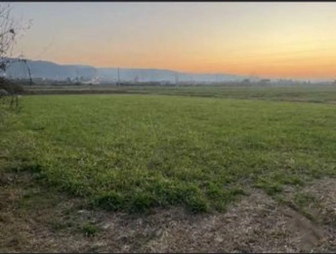 زمین باغی ۱۴۰۵متردرسیمین زاغه