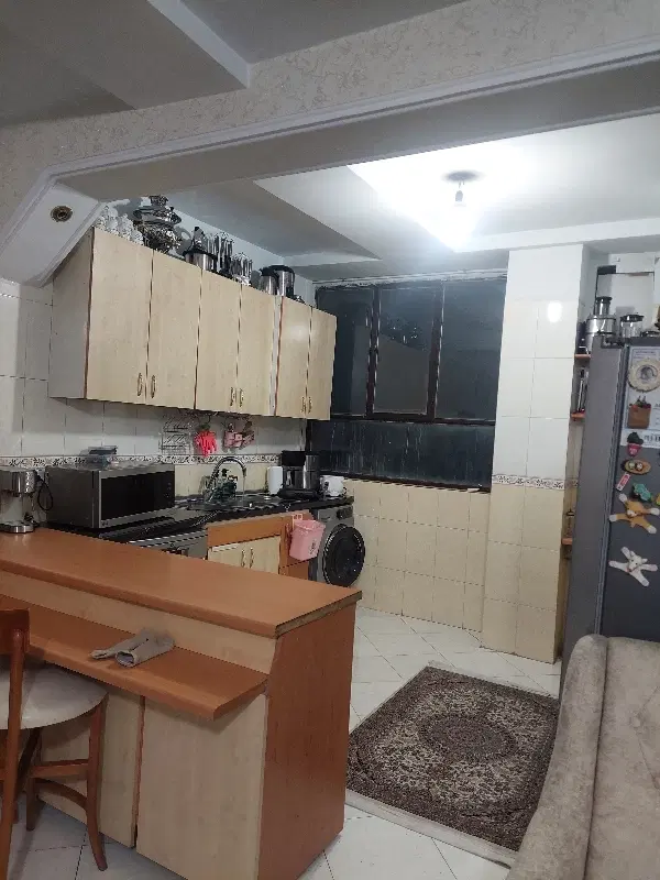 هم خانه خانم برای خانم