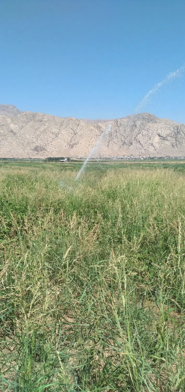 باغ  و زمین کشاورزی