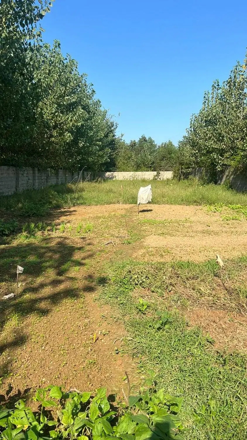 زمین چهاردیواری شمال