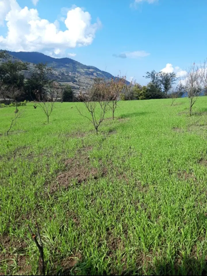 فروش زمین واقع در بافت در روستای گردشی