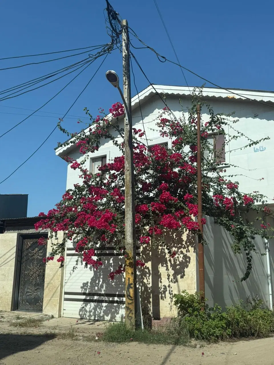 اجاره منزل ویلایی ۹۰ متری دو خوابه
