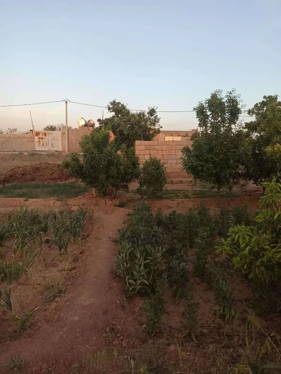 فروش زمین کمر بندی جنوبی