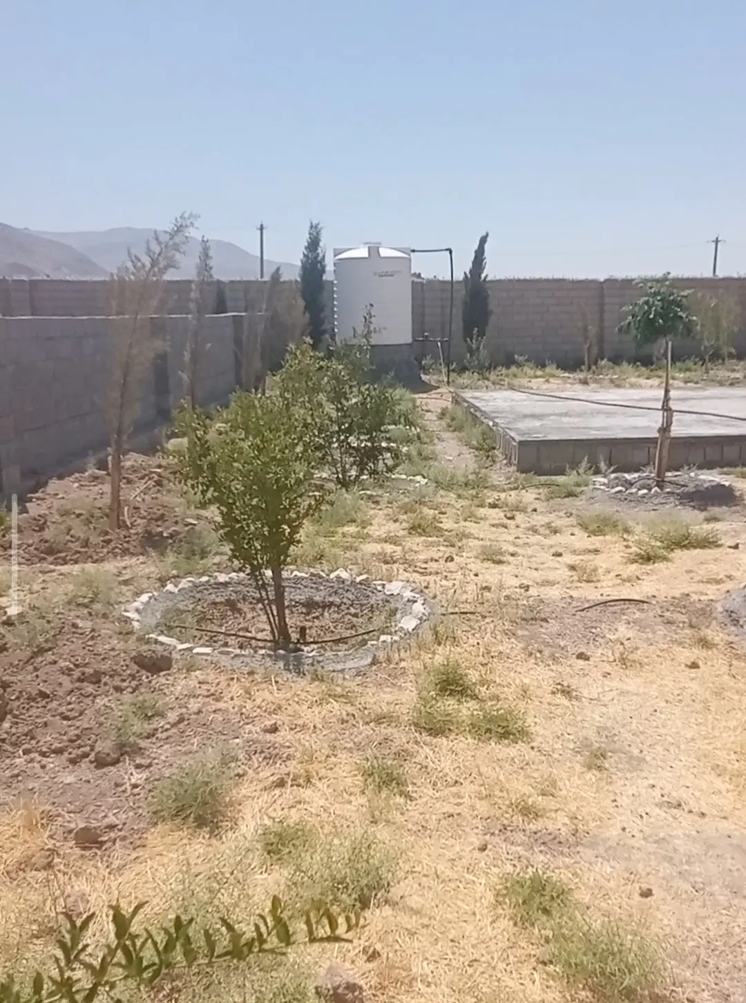 معاوضه و فروش باغ شهری سه کیلومتری تخت جمشید