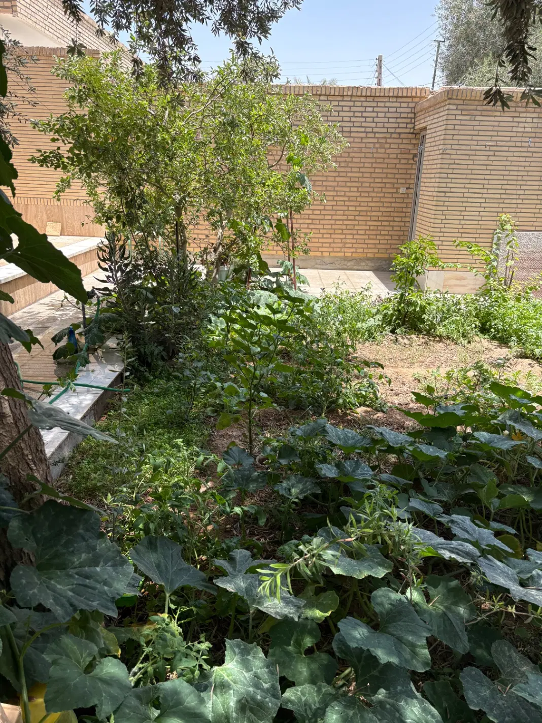 اپارتمان نگین صفاییه
