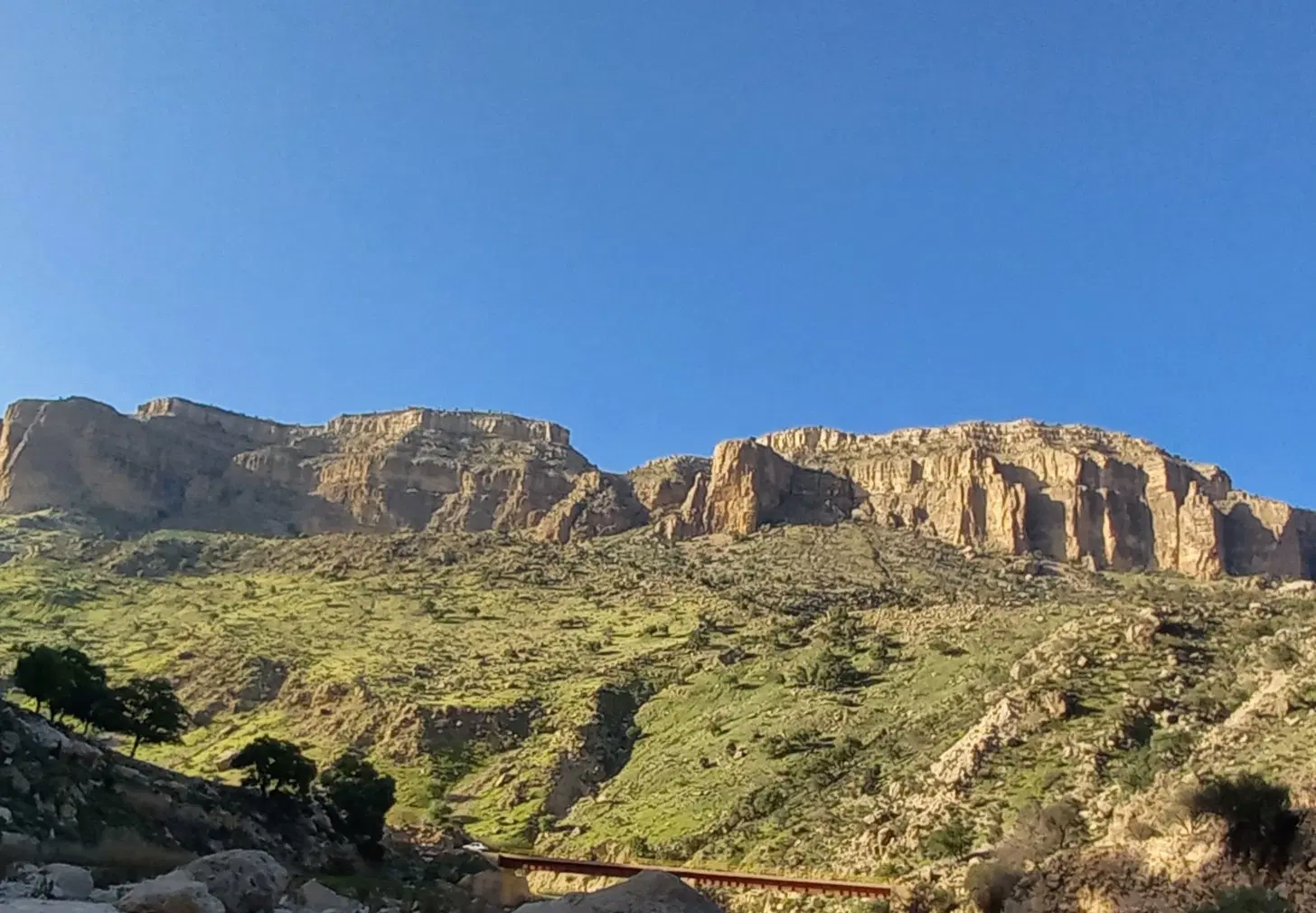 زمین تجاری در ممسنی
