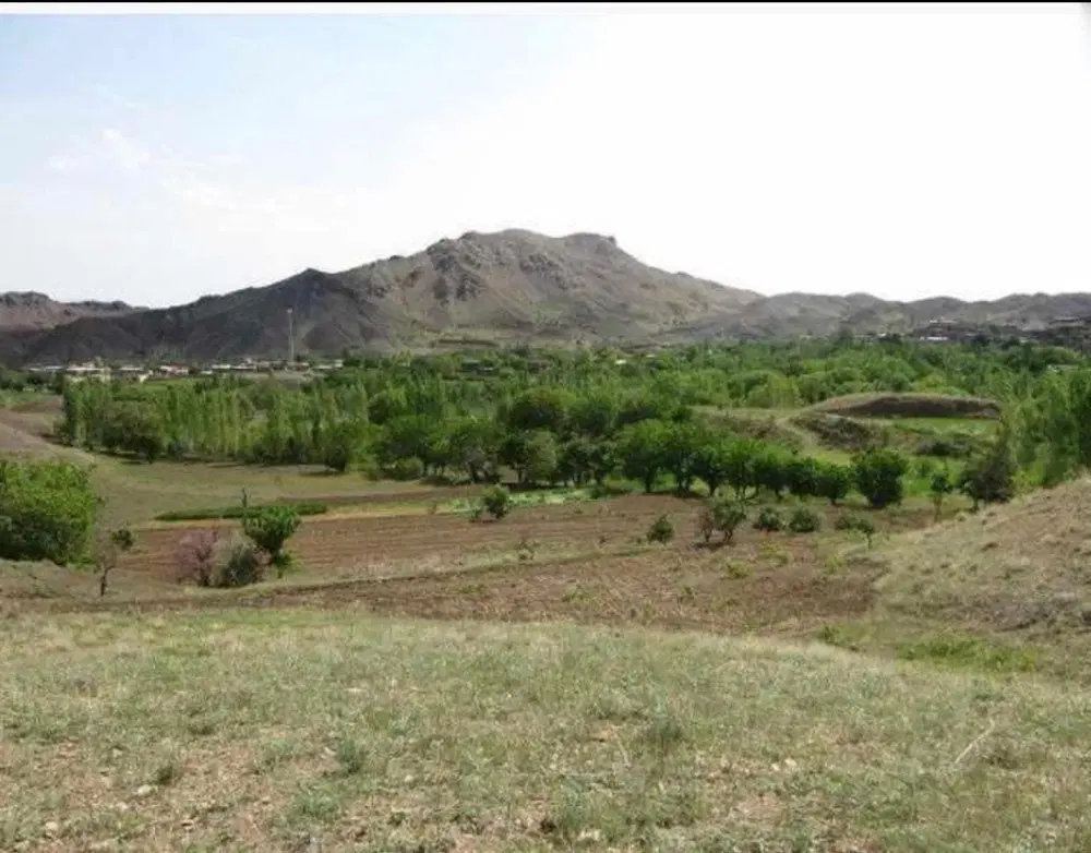 زمین در روستا طبس