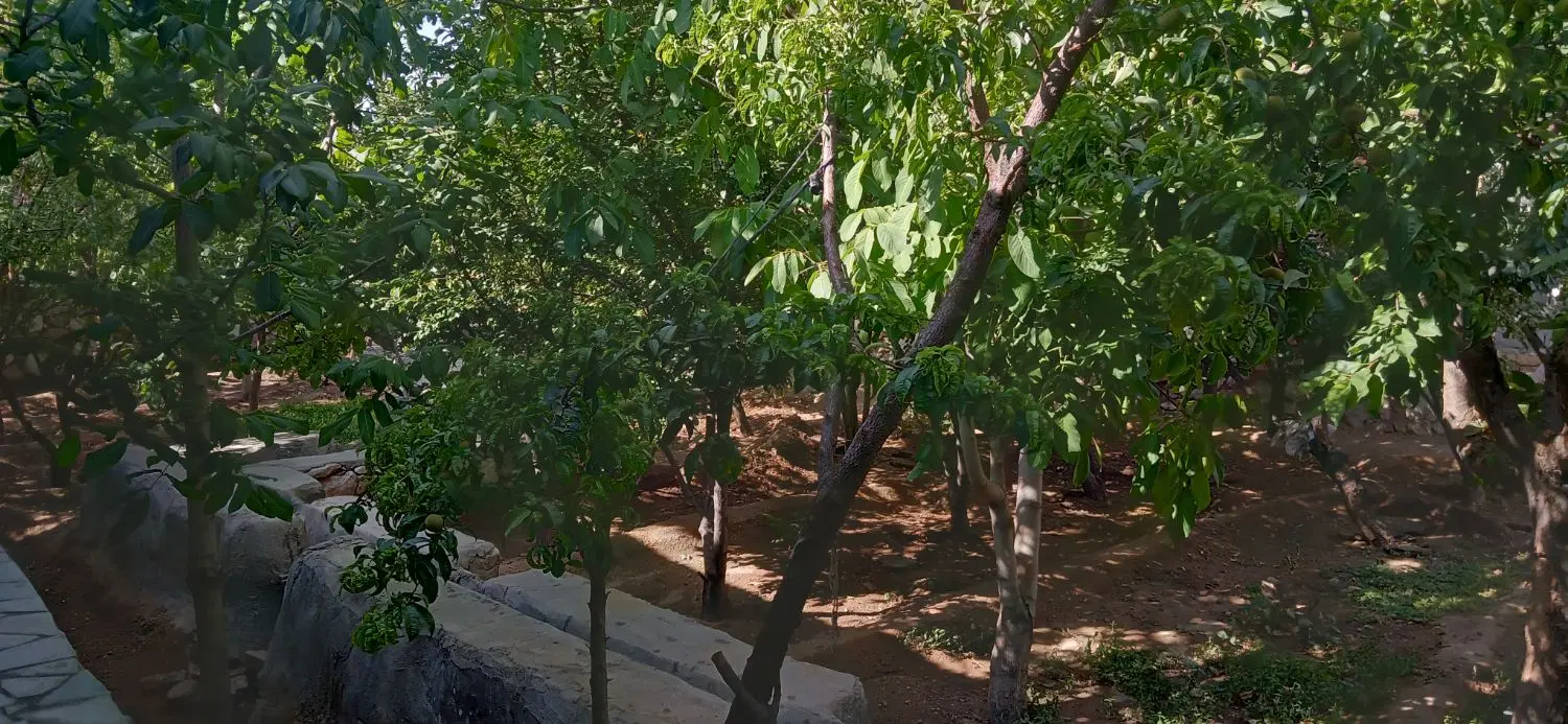 خانه باغ ب فروشی نادک سادات