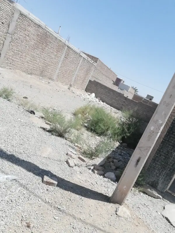 زمین فروشی هوشک سر جاده کمربندی. بین محمدی و بهنام