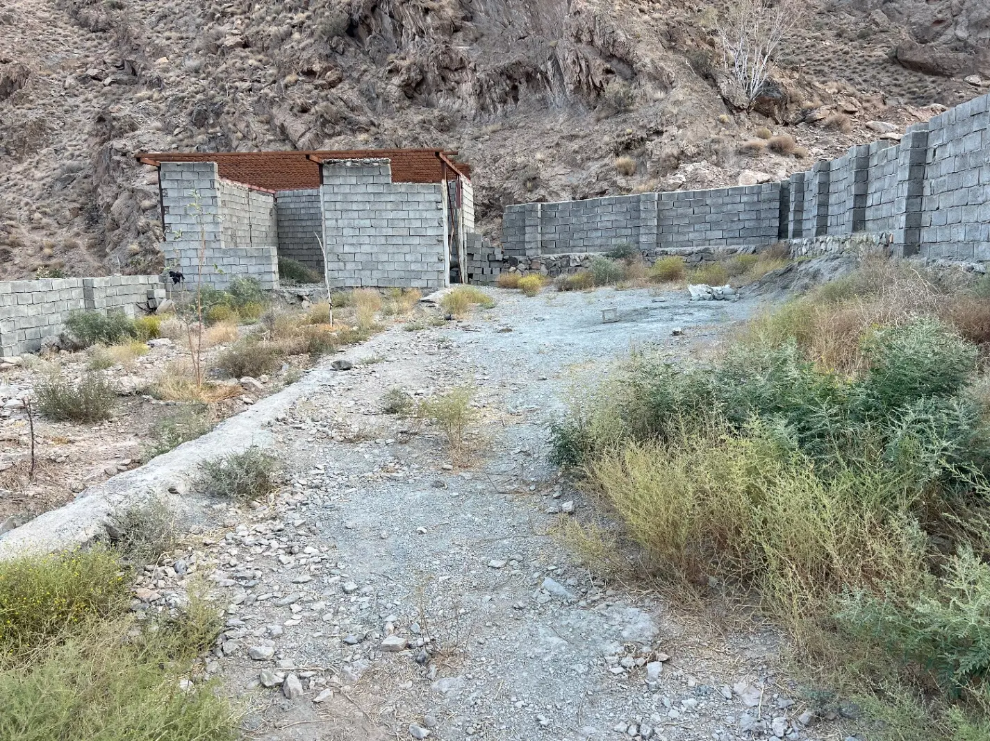 زمین ناصر آبادسیرچ باجوآب دائم جلو ملک نقدومعاوضه