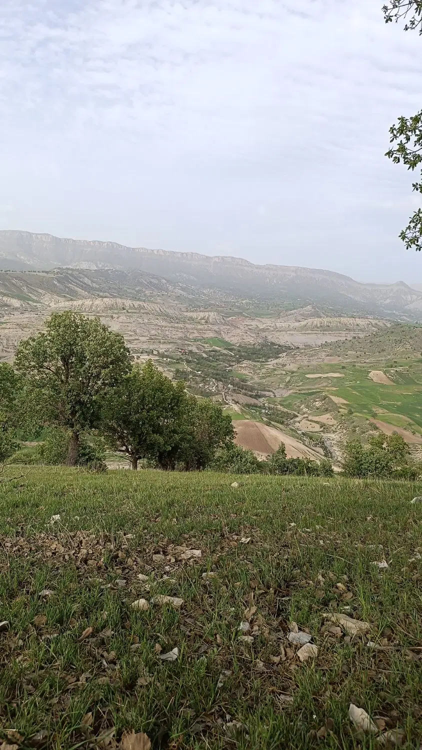 زمین کارگاهی تجاری مسکونی