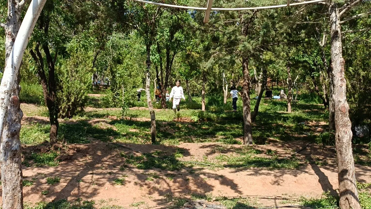 حیاط مسکونی شربت زاده