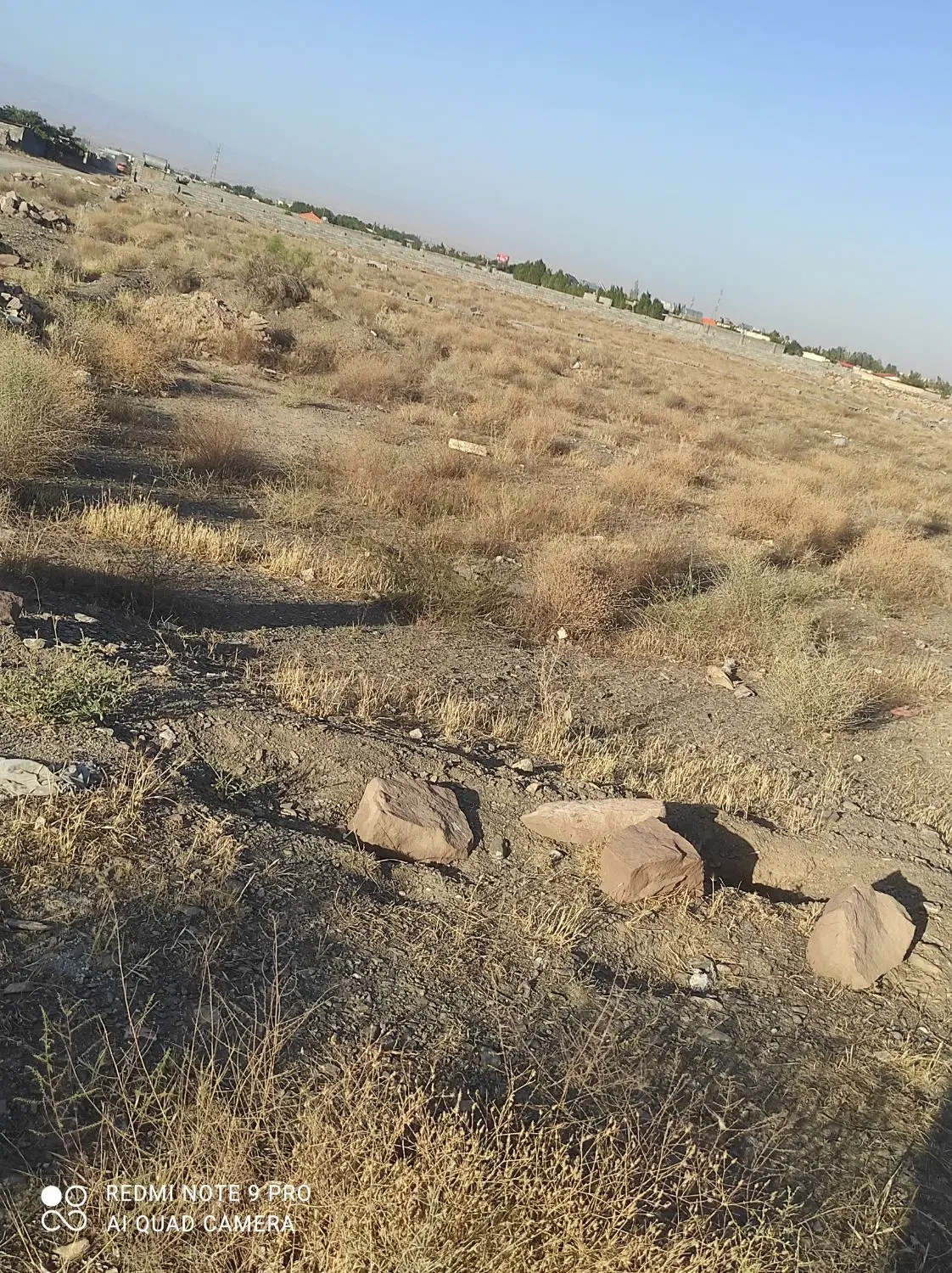 زمین هزار متری ناضریه