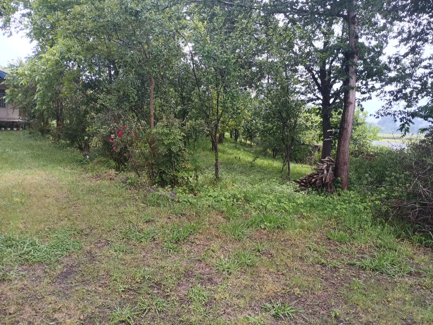 زمین با کاربری مسکونی روستایی