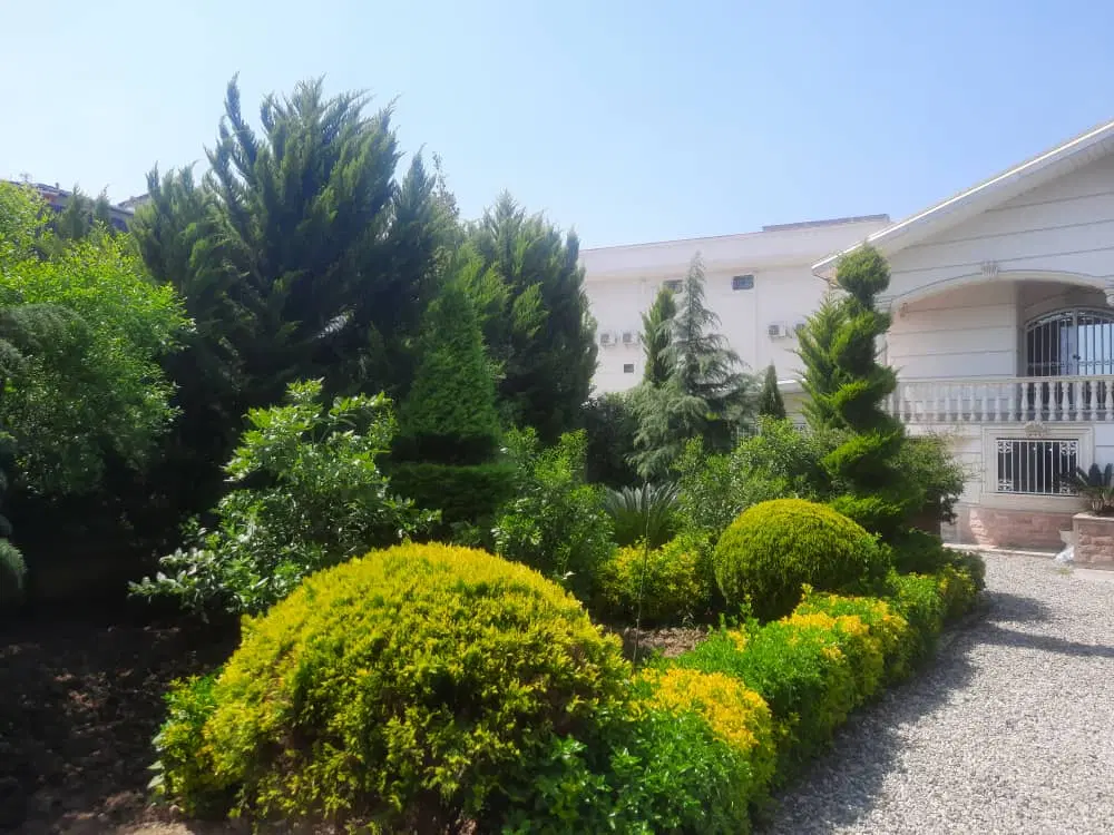 فروش یک قطعه زمین ۲۹۰متری لپاسرک