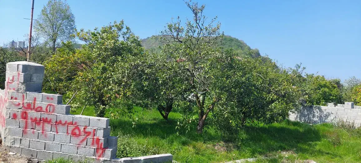 ۲۵۰ متر زمین دو نبش در لوسر  (رامسر)