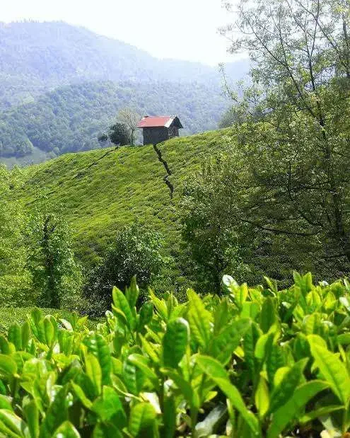 زمین ، باغ ، با بنای 100 تا 1000 متر