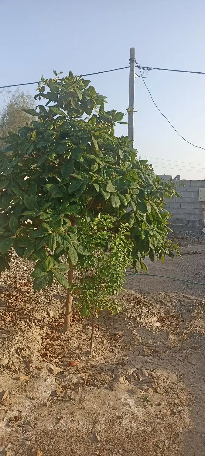 ویلایی روستای زهوکی بعد از چاهستان