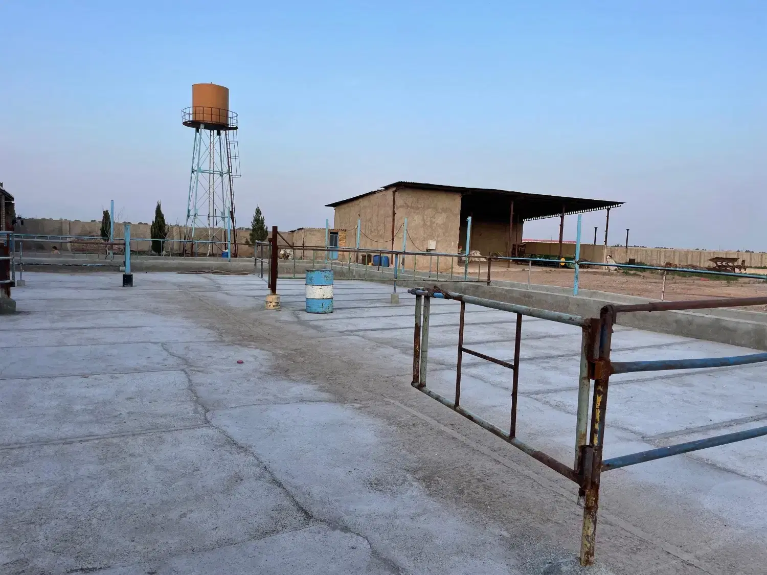 گاوداری صنعتی