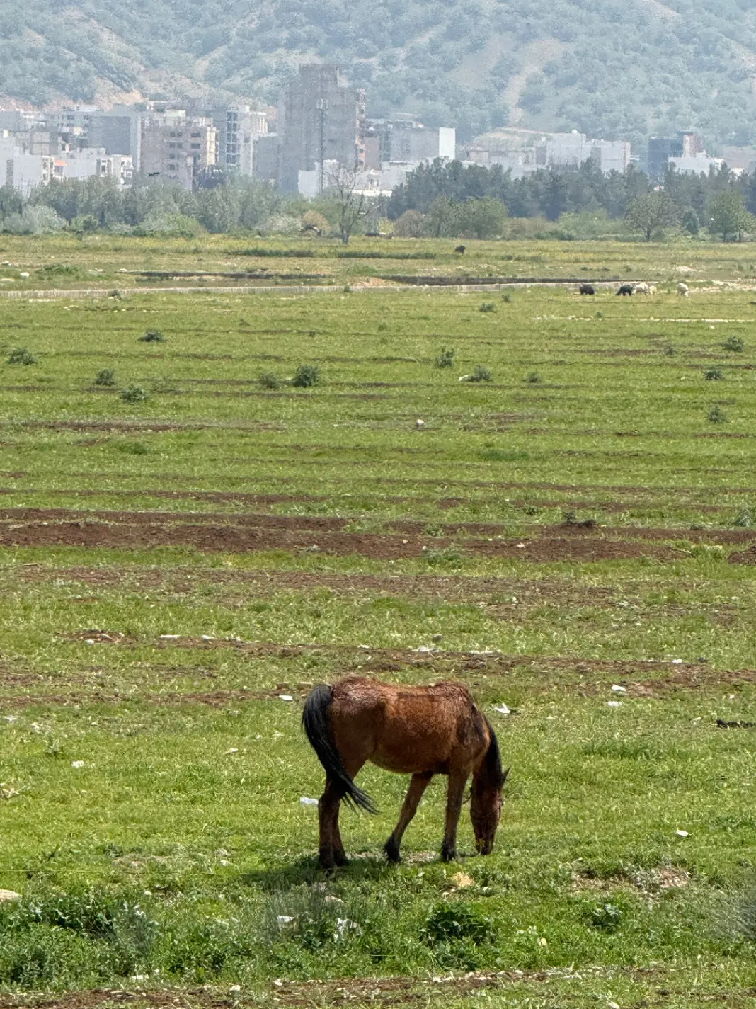 زمین زیر تل بافت جدید
