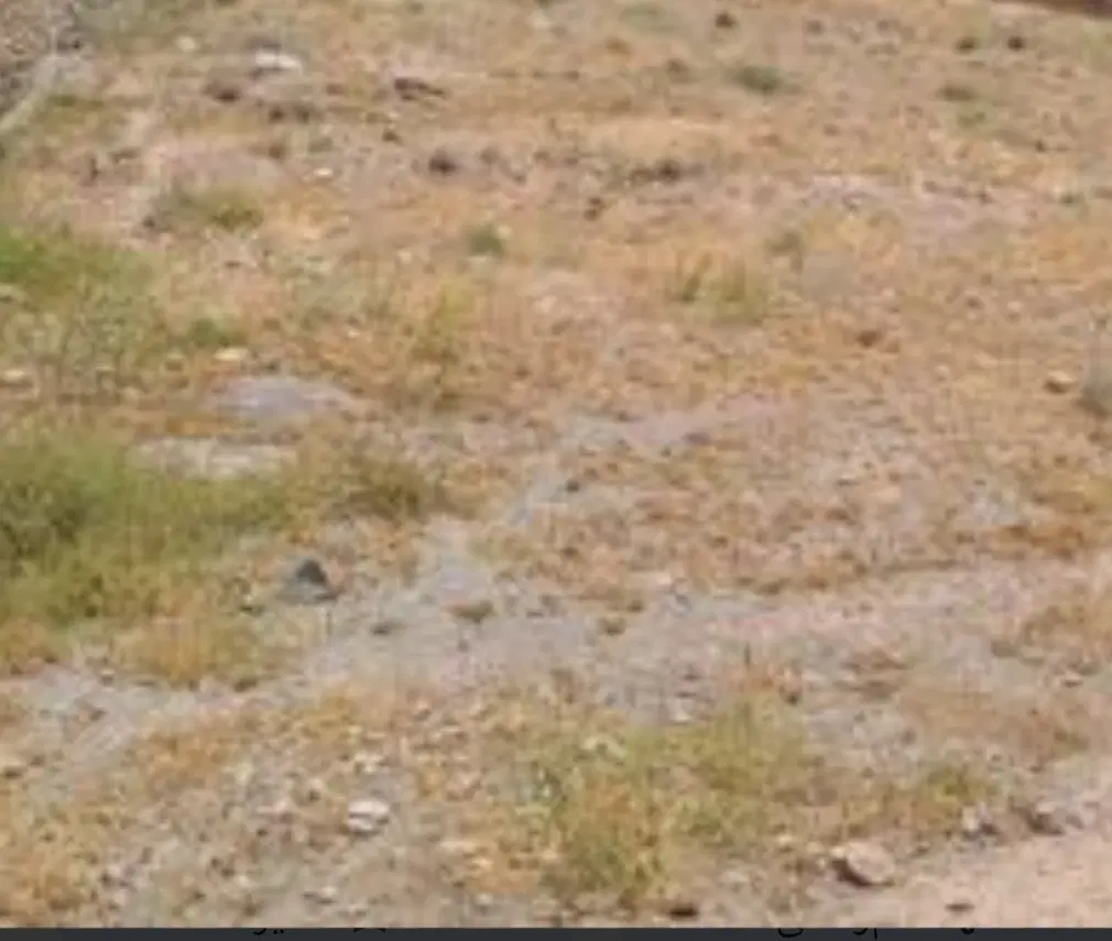 زمین کاربری کشاورزی