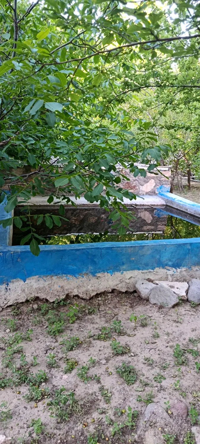 باغ بسیار زیبا با سند شش دانگ در آذرشهر