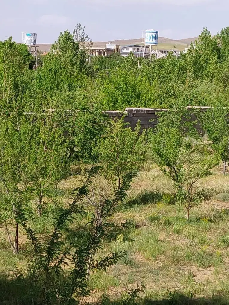 زمین باغشهری کودیان