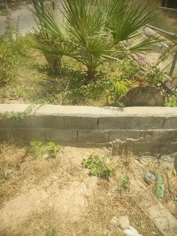 زمین