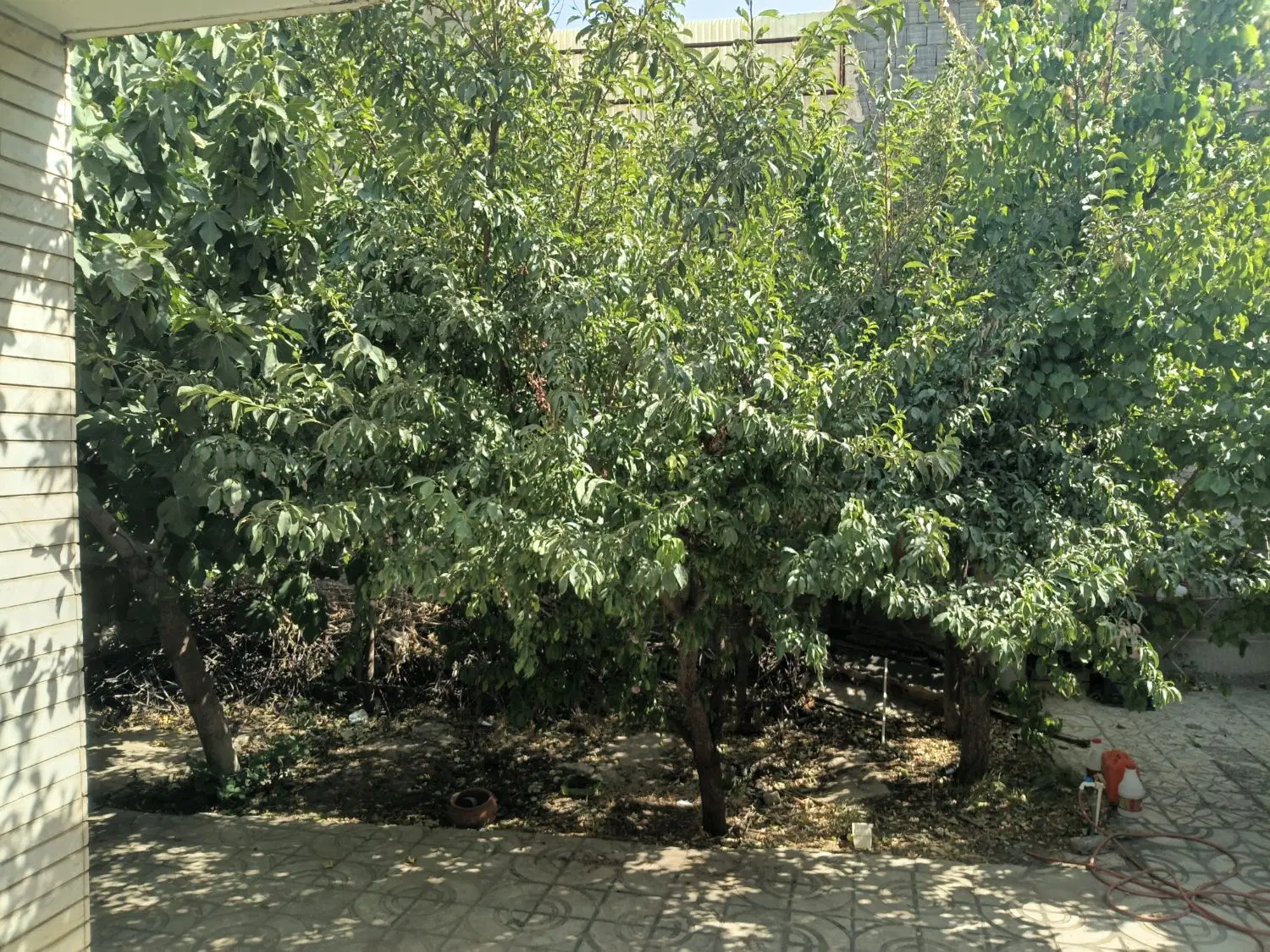 خانه کلنگی سنددار