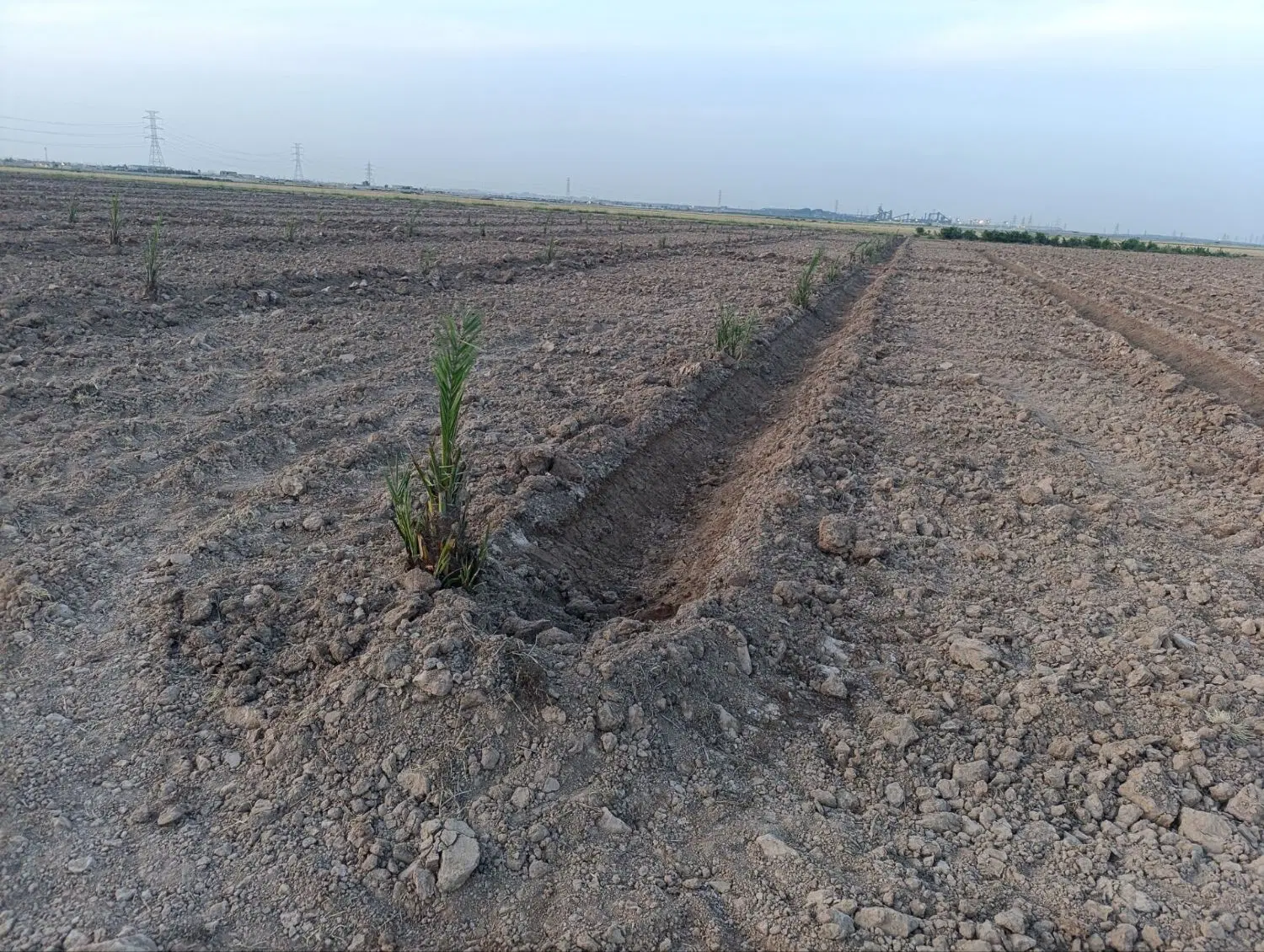 زمین در کوی امام حسین قلعه چنعان