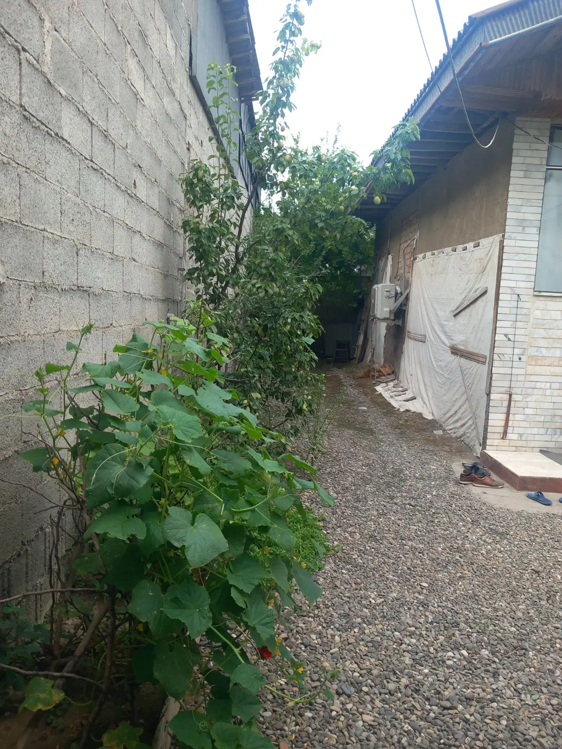 خانه ویلایی سیاه اسطلخ