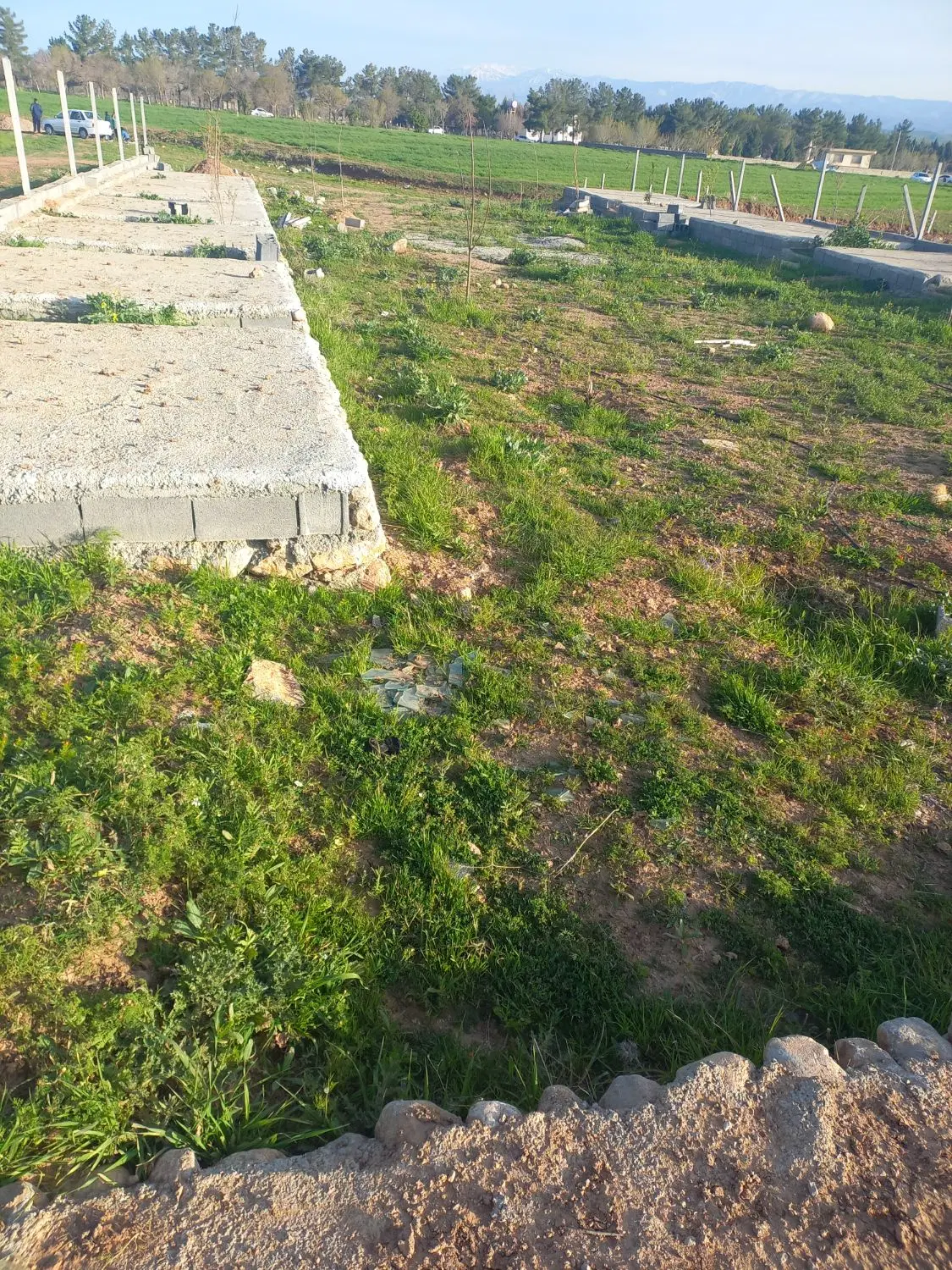 زمین روستای چالابه