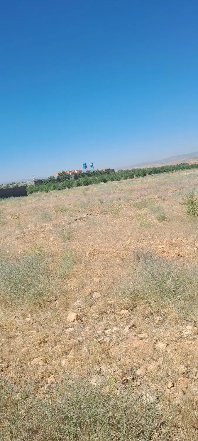 فروش زمین باغی ابپرده