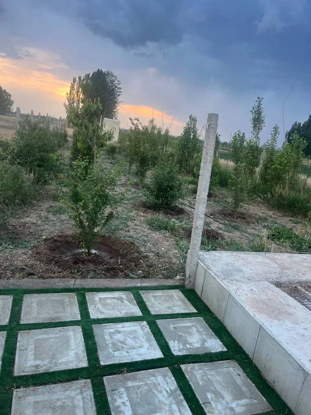 باغچه نقلی با سند تک برگ