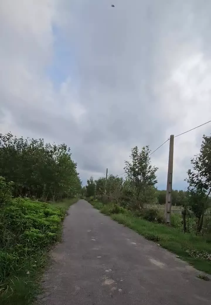 زمین باغی ۶۰۰ متر سادات محله  رودبنه