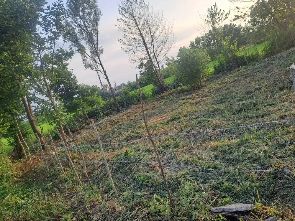 زمین ۲۵۰ متری فخب