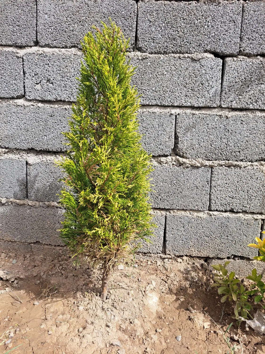 اجاره چهاردیواری ۲۰۰۰ متری