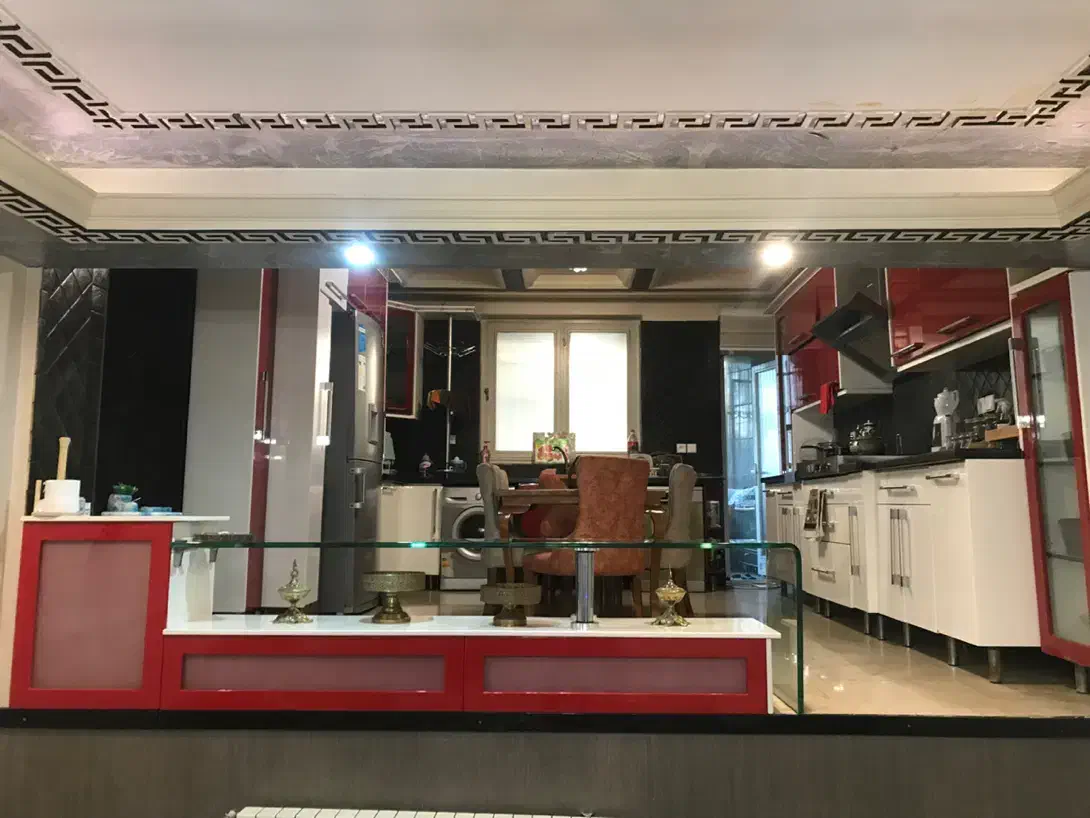 ۲۵۰ متر ویلایی
