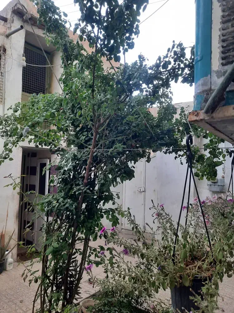 خانه قدیمی