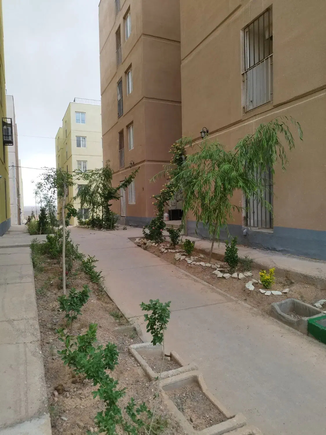 فروش یک خوابه در کیسون زون ۱