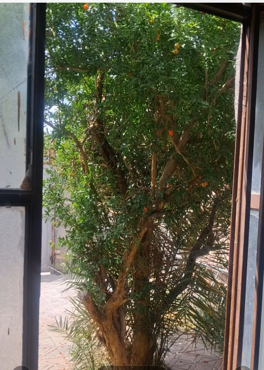 خانه اجاره‌ ای در خواجه عسکر