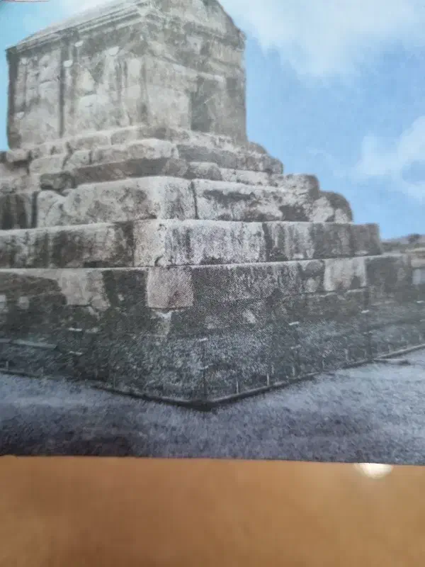 فروش حیاط در پاداش