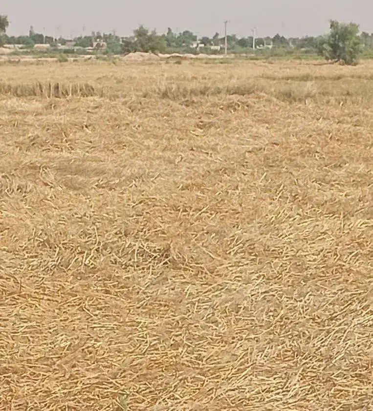 سلام دوهکتار زمین براشلتوک
