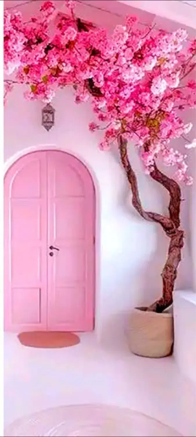 سوییت۳۰متری