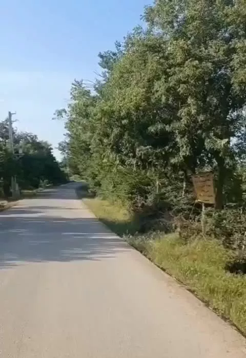 چشم انداز بی نظیر به جنگل، شهر، صحرا تا دریا